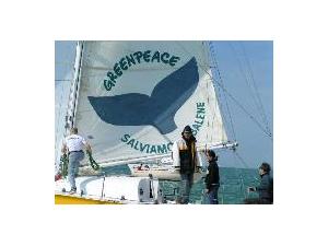 foto Regata dei Cetacei