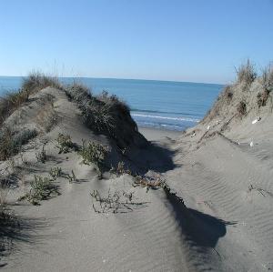 Versilia e S. Rossore (1 giornata)