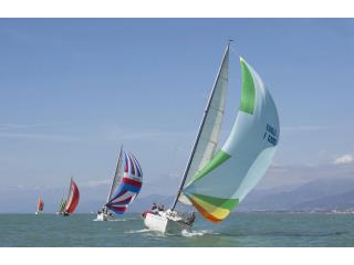 Regata dei Cetacei 2026: Scopri le date!